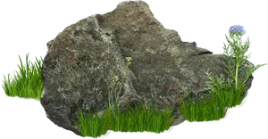 Rockwith Floraon Black Background PNG Image