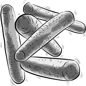 Rod Shaped Bacteria Illustration PNG Image