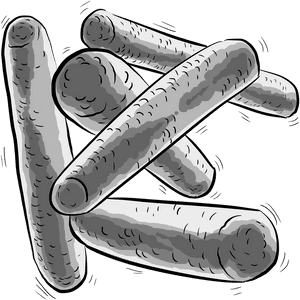 Bacteria Png, Transparent Png PNG with transparent background