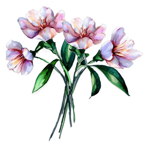 Romantic Watercolor Flowers PNG eer PNG image with transparent background