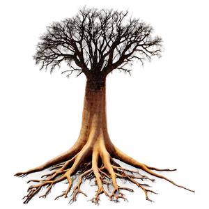 Root C PNG Image