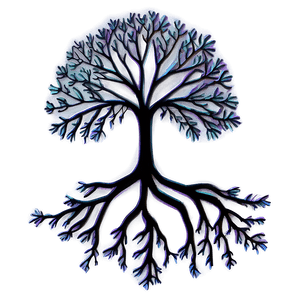 Root System Illustration PNG 06252024 PNG with transparent background