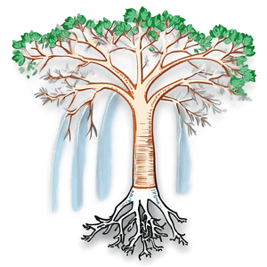 Root System Illustration PNG yvh79 PNG with transparent background