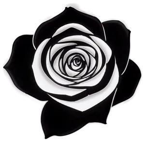 Rose Black And White Png 86 PNG Image