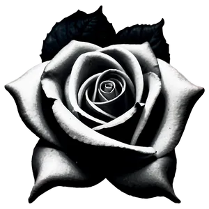 Rose Black And White Tattoo Design Png 61 PNG Image