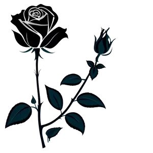 Rose Black And White Wallpaper Design Png Xkc PNG Image