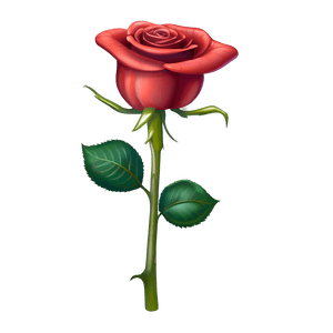 Rose Clipart PNG 05252024 PNG