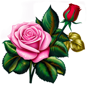Rose Clipart PNG sie76 PNG
