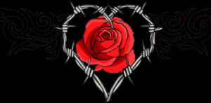 Rose Encasedin Barbed Wire PNG image with transparent background
