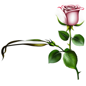 Rose Flower Transparent PNG quc PNG