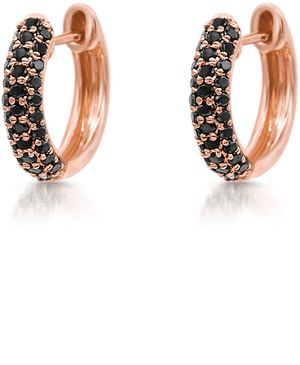 Transparent Hoop Earring Png - Earrings, Png Download PNG