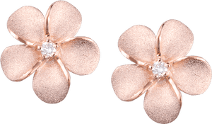 Transparent Gold Earring Png - Earrings, Png Download PNG