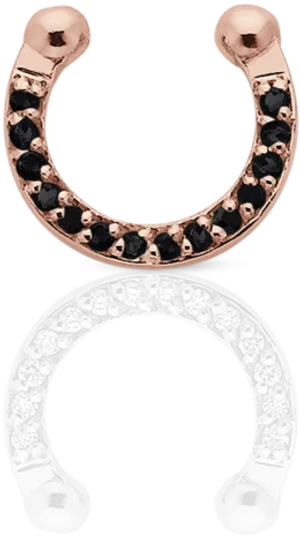 Rose Goldand Silver Nose Rings PNG Image