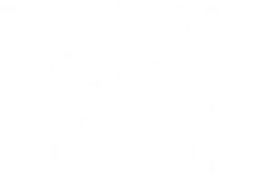 Rose Park Festival Logo PNG Image