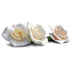 Rose Petal Memorial Png Rjd PNG Image