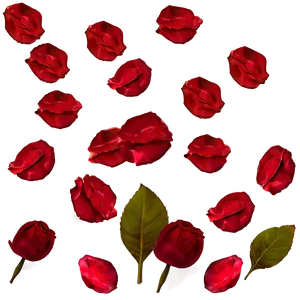 Rose Petals Png 61 PNG Image