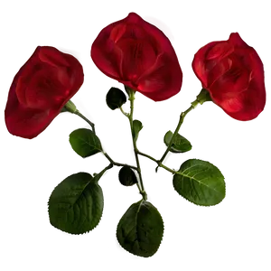 Rose Petals Png Mtp PNG Image