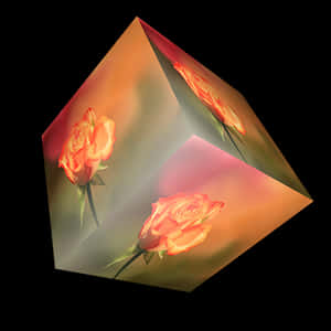 Rose Reflection Cube Art PNG image with transparent background