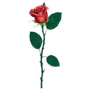 Rose Stem Png 06132024 PNG Image