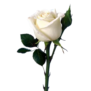 Rose Stem Png Swf PNG Image