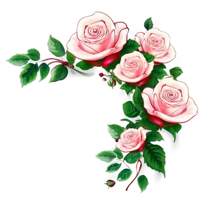 Rose Vector Frame Png 92 PNG Image