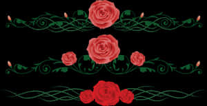 Rose Vine Floral Design PNG