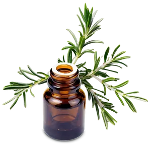 Rosemary Essential Oil Png 06292024 PNG Image