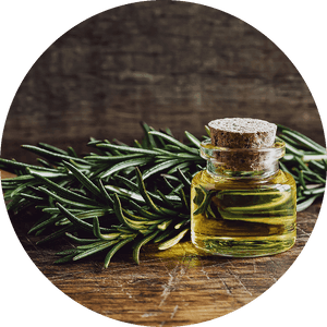 Rosemary , Png Download - Serve Banho De Sal, Transparent Png PNG with transparent background