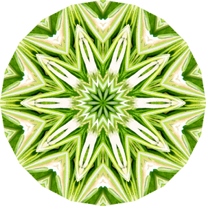 Rosemary Kaleidoscope 1 Clip Arts - Illustration, HD Png Download PNG with transparent background