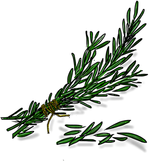 Crushed Rosemary Transparent, HD Png Download PNG with transparent background