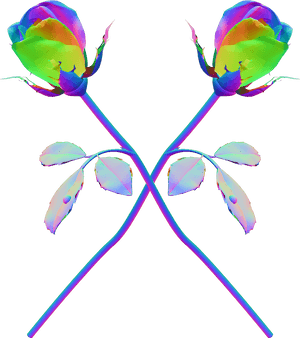 Roses Psychedelic Trippy Rainbow Holographic Tumblr - Transparent Tumblr Trippy, HD Png Download PNG image with transparent background