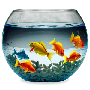 Round Fishbowl Png Xau84 PNG Image