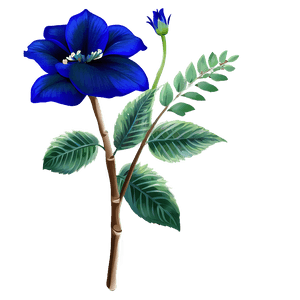 Royal Blue Flower PNG pcv PNG image with transparent background