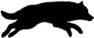 Concept Art Running Wolf 3 Image - Running Wolf Silhouette Png PNG image with transparent background