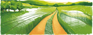 Material Farm Work Illustration Field Vector Cartoon - Field Cartoon, HD Png Download PNG image with transparent background