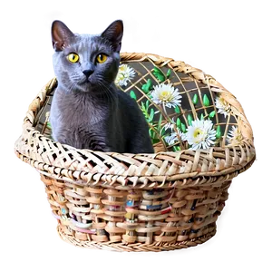 Russian Blue Cat In Basket Png 64 PNG Image