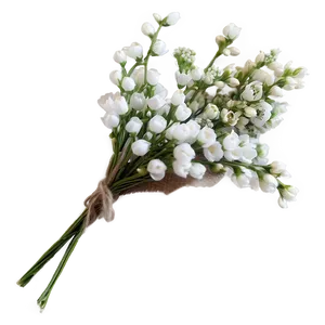 Rustic Baby's Breath Boutonniere Png Ktt89 PNG Image