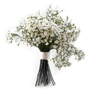 Rustic Babys Breath Centerpiece Png Wsr42 PNG Image