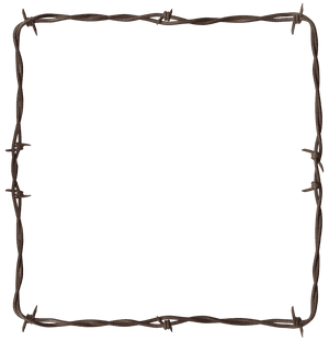 Rustic Barbwire Frame PNG