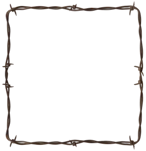 Rustic Barbwire Frame PNG Image