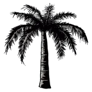 Rustic Black Palm Tree Drawing Png Cnt PNG Image