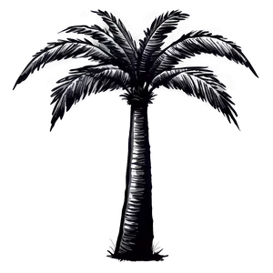 Rustic Black Palm Tree Drawing Png Ixu PNG Image