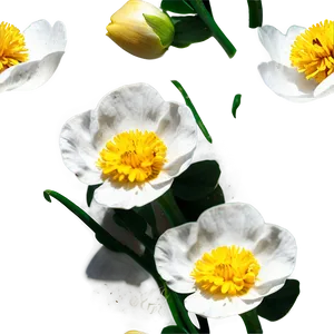 Rustic Buttercup Png Nym PNG Image