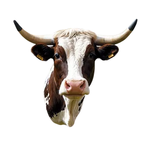 Rustic Cow Head Image Png 06212024 PNG Image