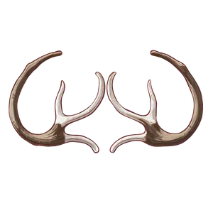 Rustic Deer Antler Illustration Png Gno90 PNG Image