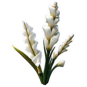 Rustic Gladiolus Charm PNG 06242024 PNG