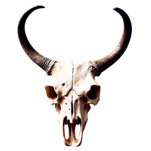 Rustic Longhorn Skull Clipart Png 06292024 PNG Image