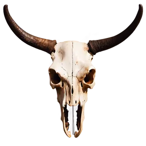 Rustic Longhorn Skull Clipart Png 44 PNG Image