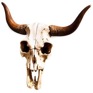 Rustic Longhorn Skull Clipart Png 50 PNG Image