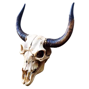 Rustic Longhorn Skull Clipart Png 78 PNG Image